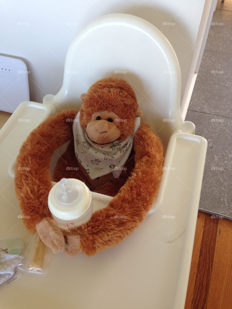 Monkey having a bottle in his high chair