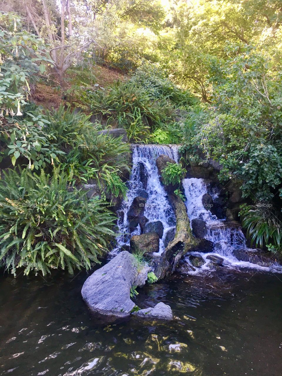 Los Angeles Botanical Gardens