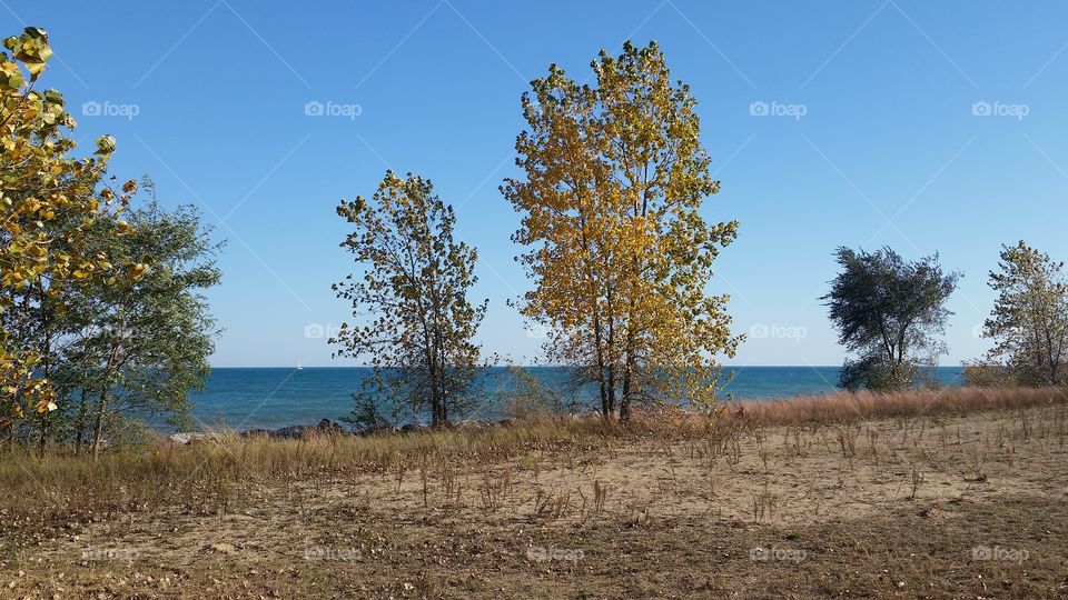 Fall beach