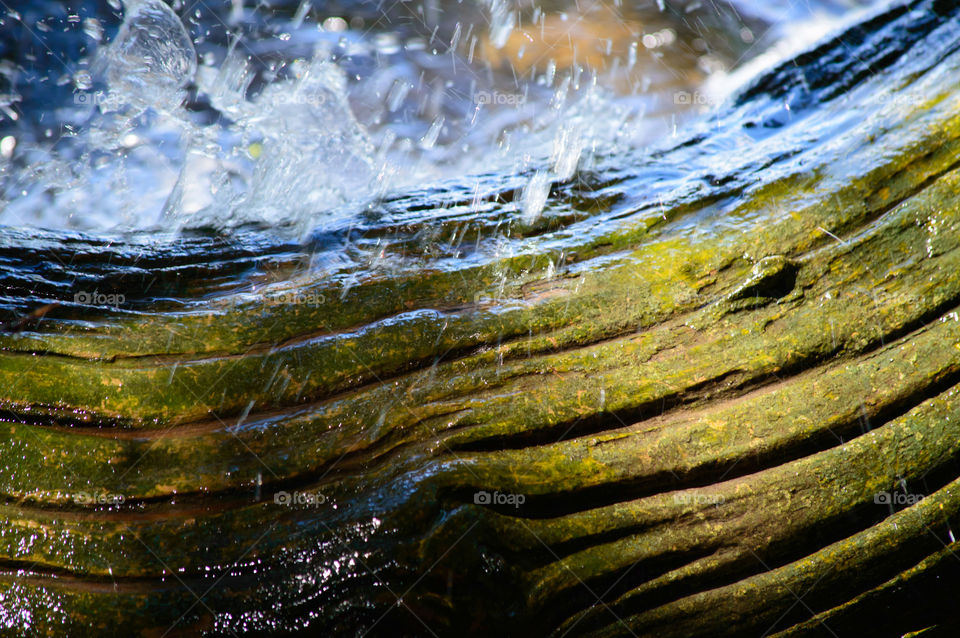 Powerful water splashing over Wood on tree branches at waters edge weathered with deep grooves and wet moss making it turn a beautiful green inspirational nature background photography 