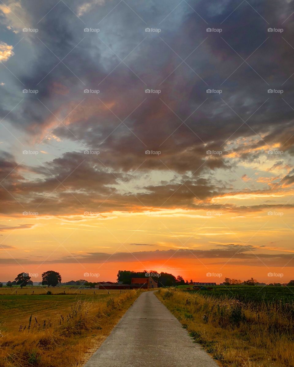 Road into the distance in a dry desolate Grassy farmfield landscape under a dramatic and colorful sunrise with dark clouds at the countryside 