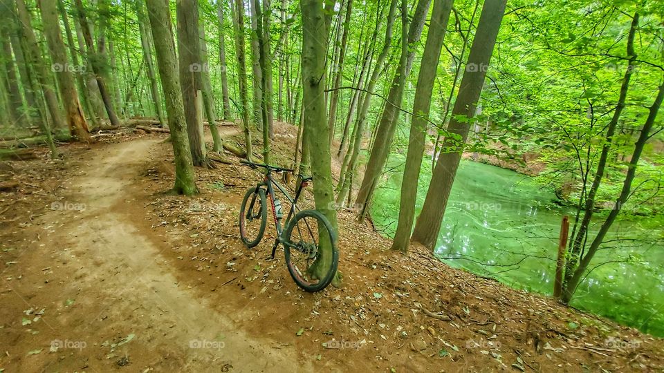 mtb trail bike by beautiful swamp