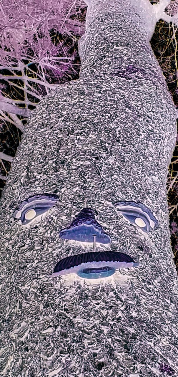Tree with an expressive face, it shows what trees really look like in this x-ray type photo! Beauty is skin deep.
