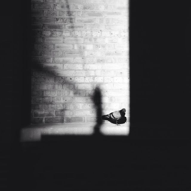 Alley, Chicago 