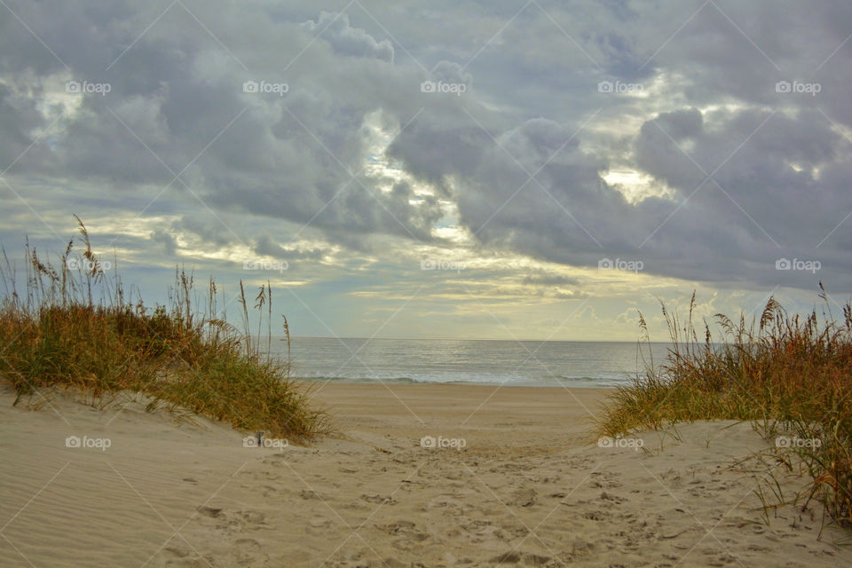 Beach Vibes 