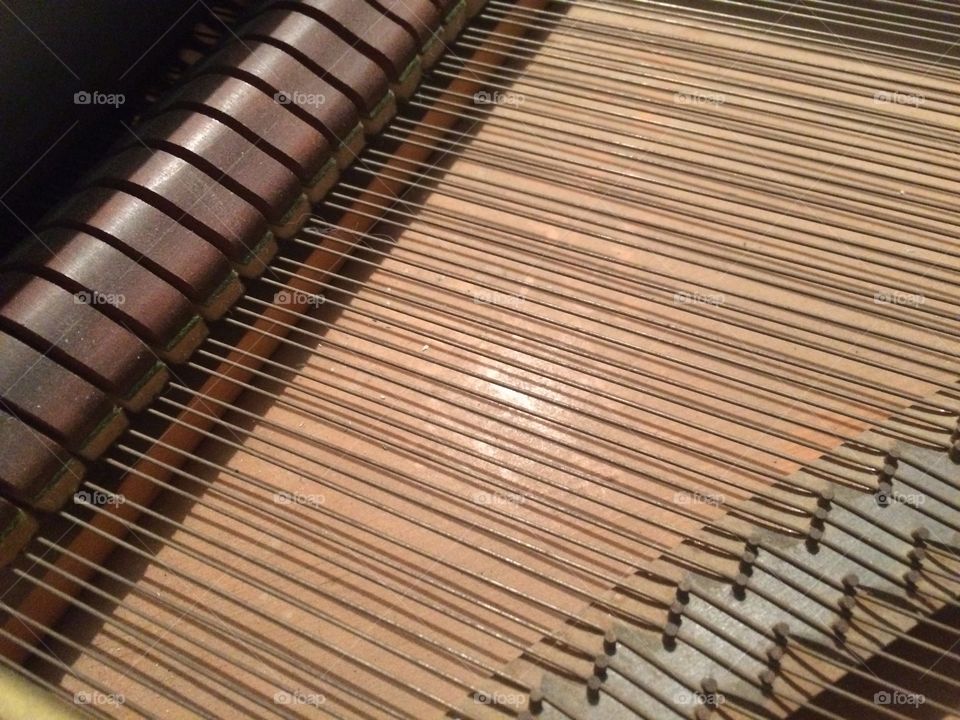 Hammers and Strings. My friend had her baby grand piano open and I was struck by the beauty of the strings.