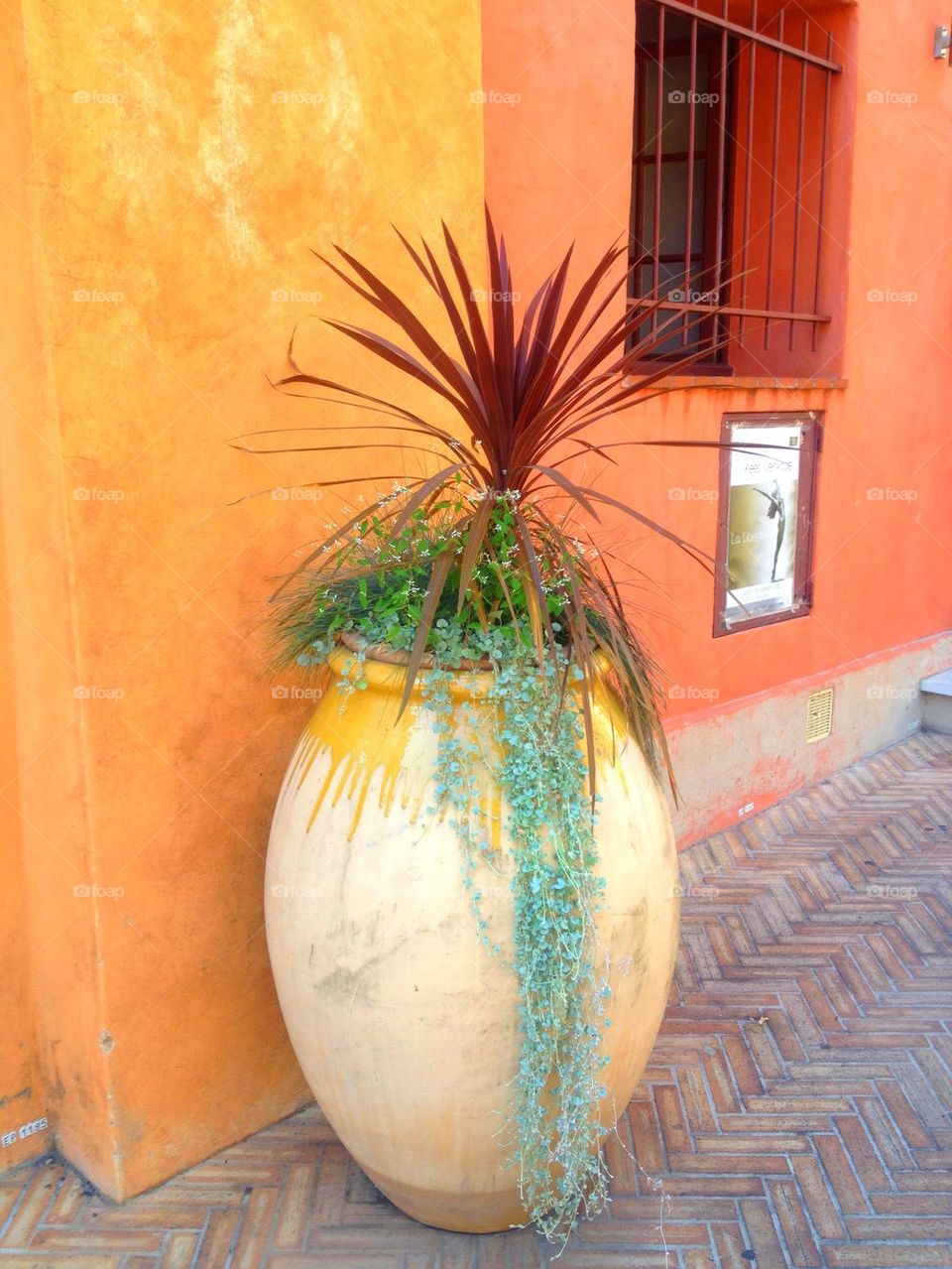 street france terracotta urn by lemonique