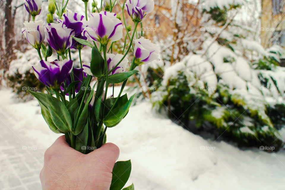 flowers in men's hand with blurred winter or spring background, festive image for birthday, mother's day, Valentine