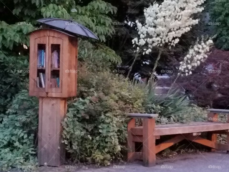 books and bench