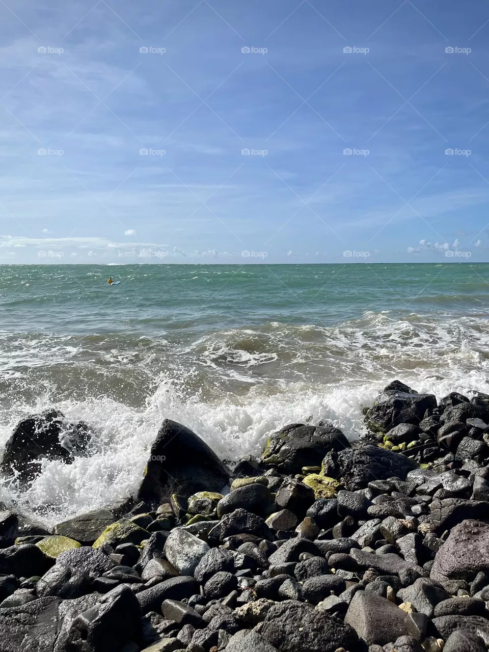 Wild Caribbean Sea 
