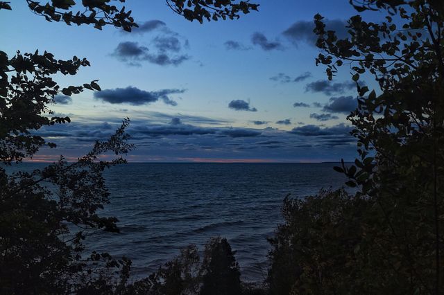 Scenic view of nature