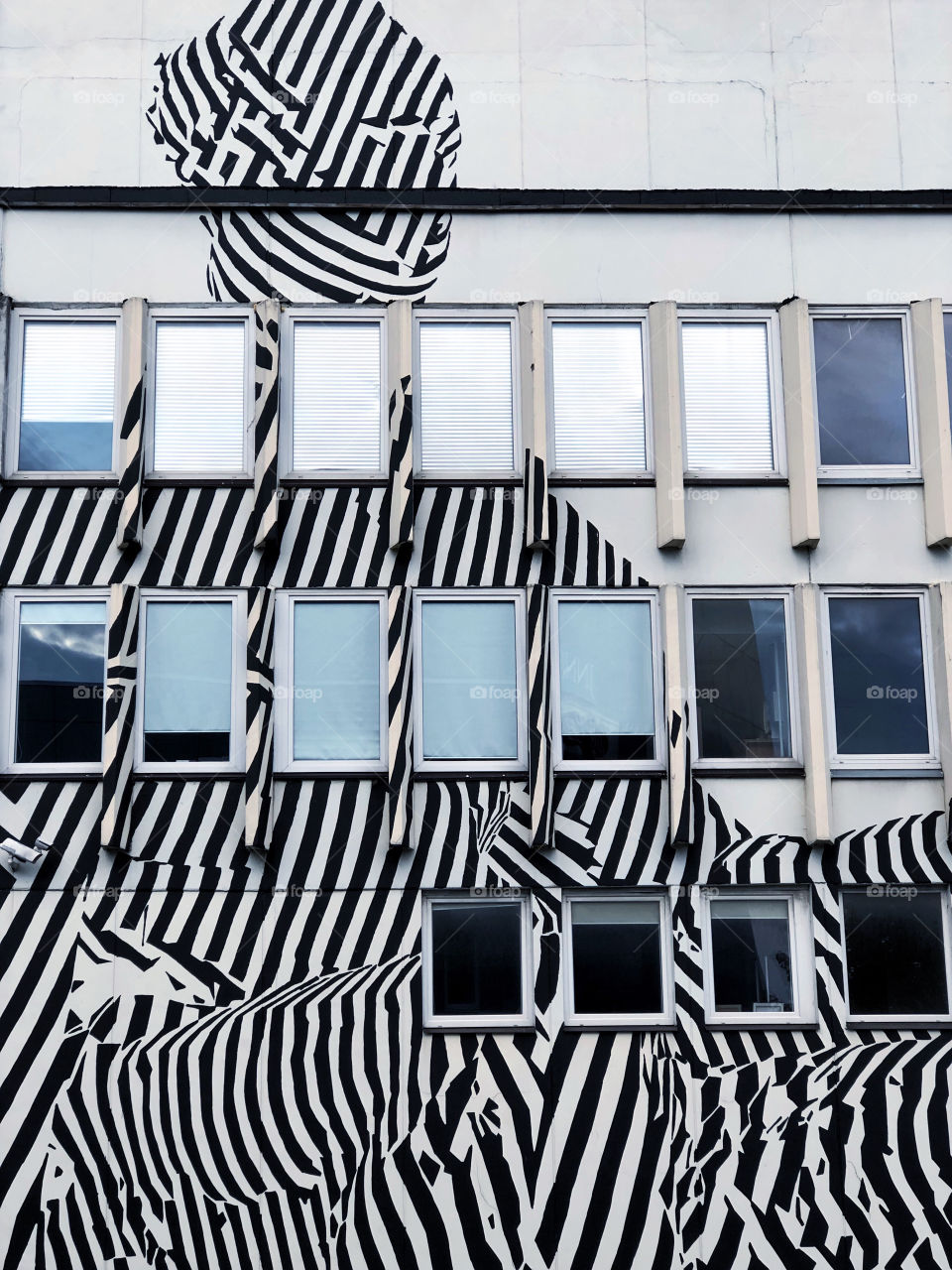 Zebra building