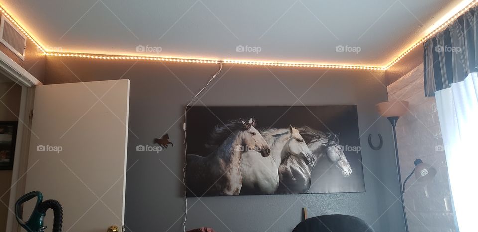 led lights near ceiling