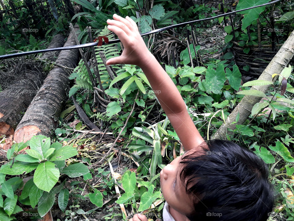 child trying to catch dragonfly