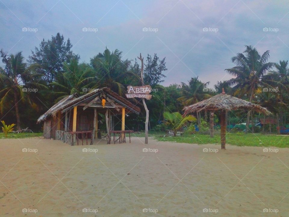Explore Sandy Beach Ecosystem of Southern india.