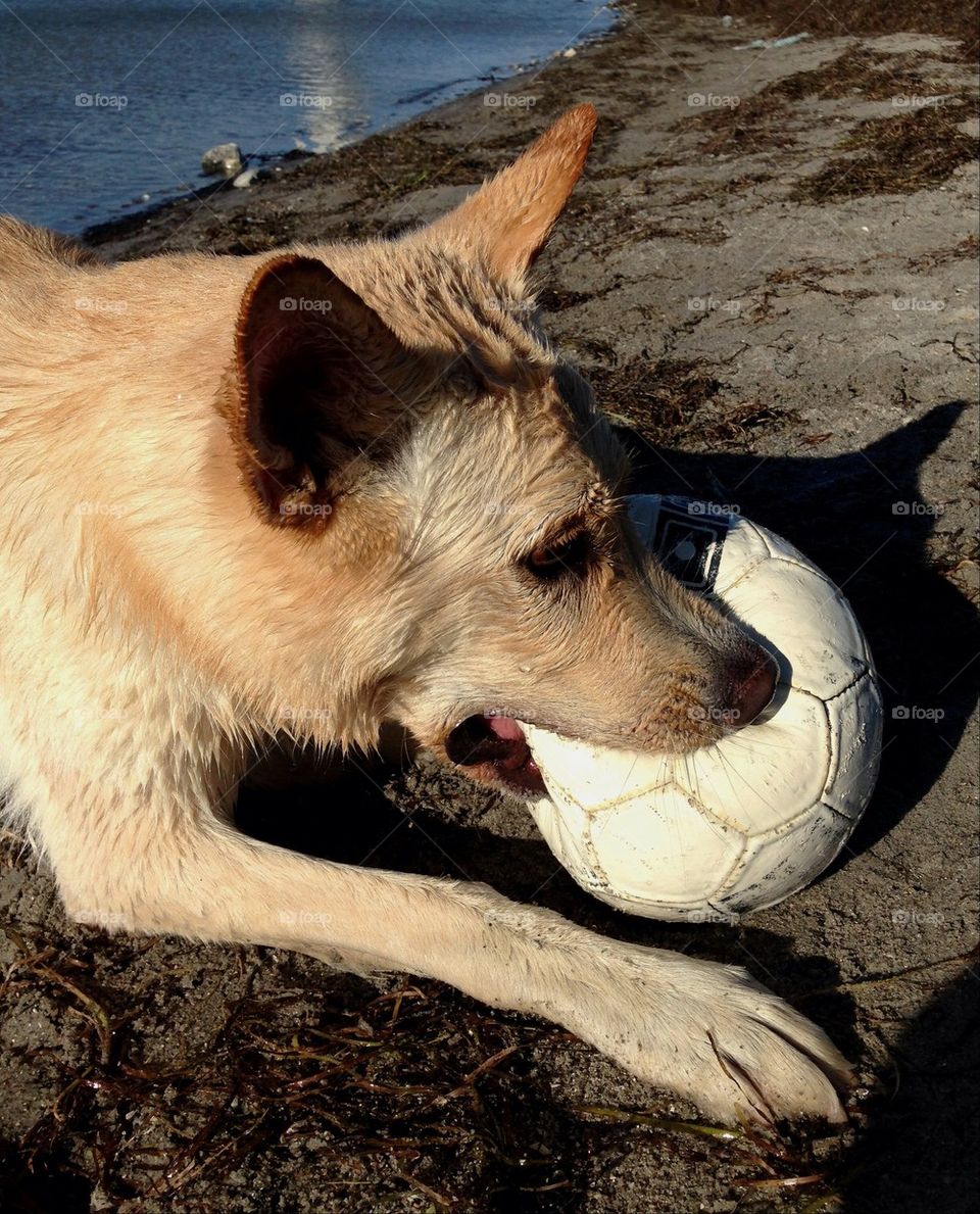 Playing soccer by the beach.