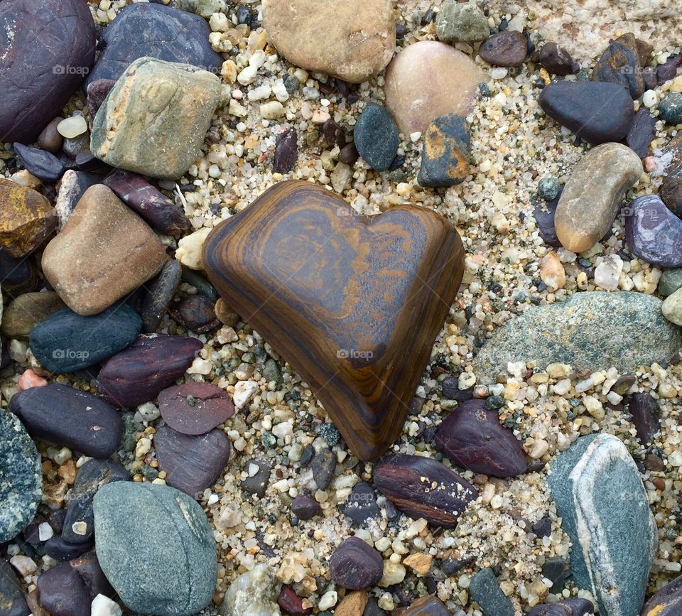 Heart Shaped Rock. Heart shaped petrified wood found along the shore of Pathfinder Reservoir, Wyoming 