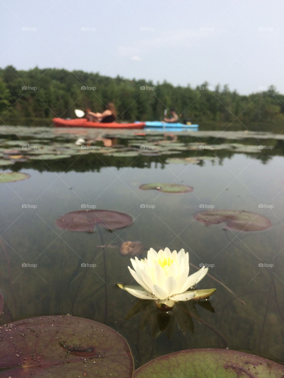 Romantic kayak