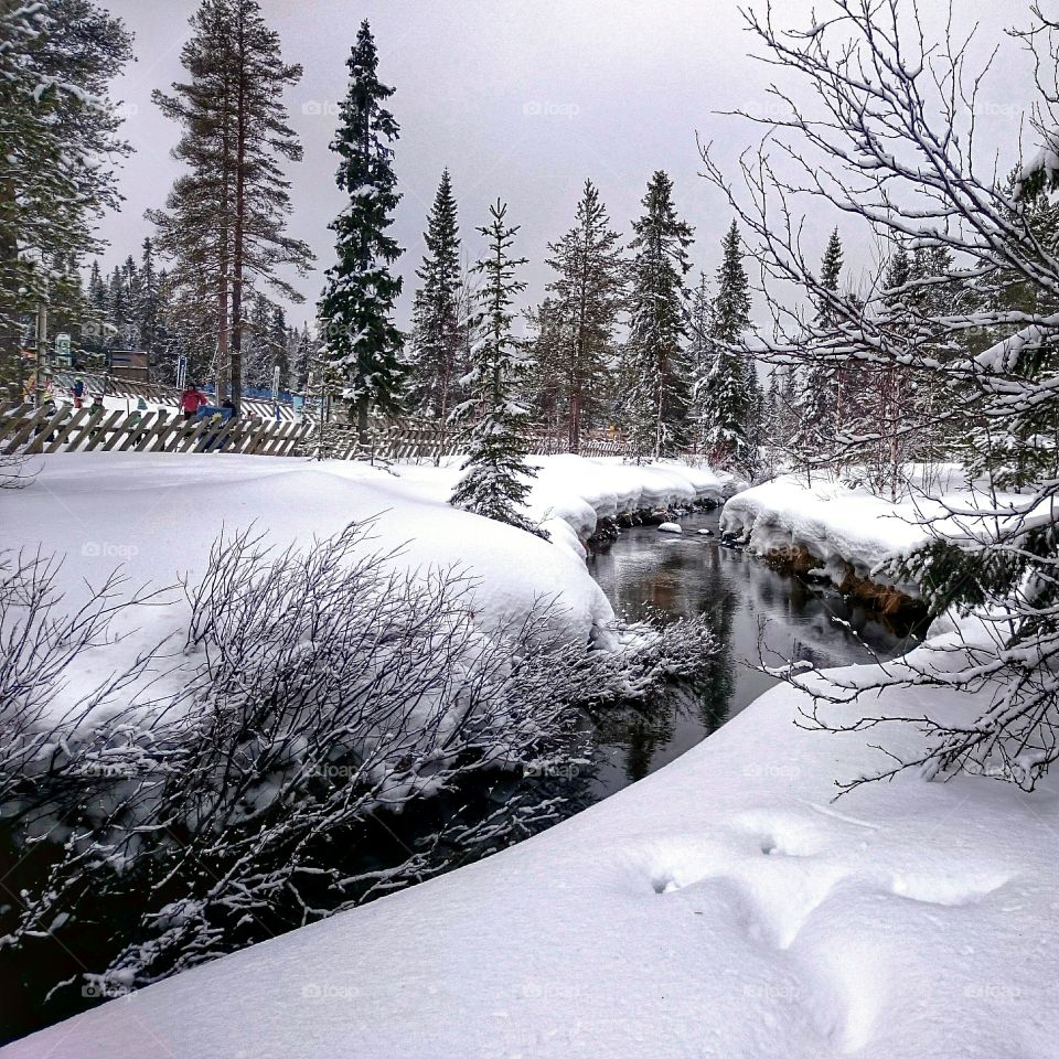 Winter creek . Winding creek in winter landscape 