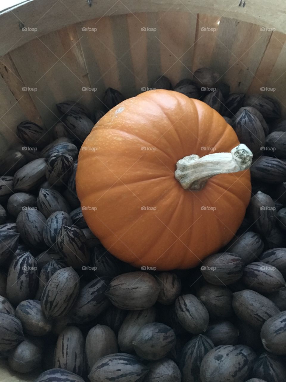 Fall in Eastern North Carolina pumpkin and pecans