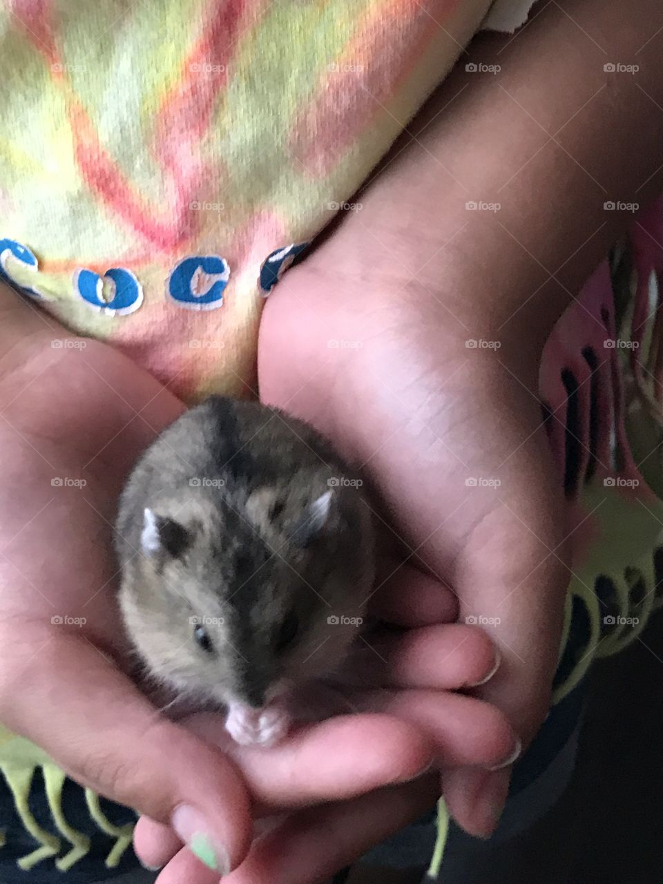 Child holding her pet hamster 
