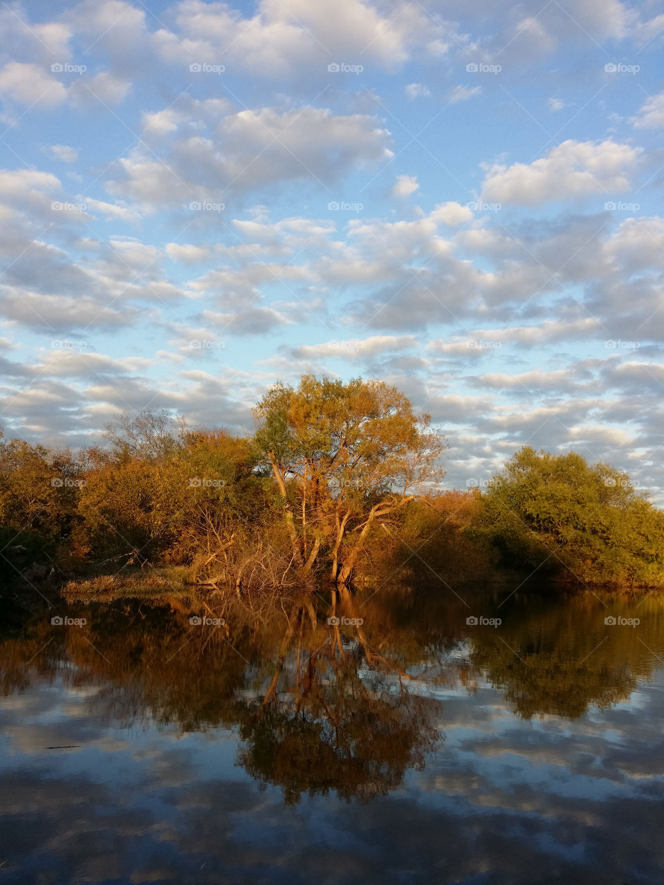 Reflection of a beautiful cloud filled sky in a pond with trees