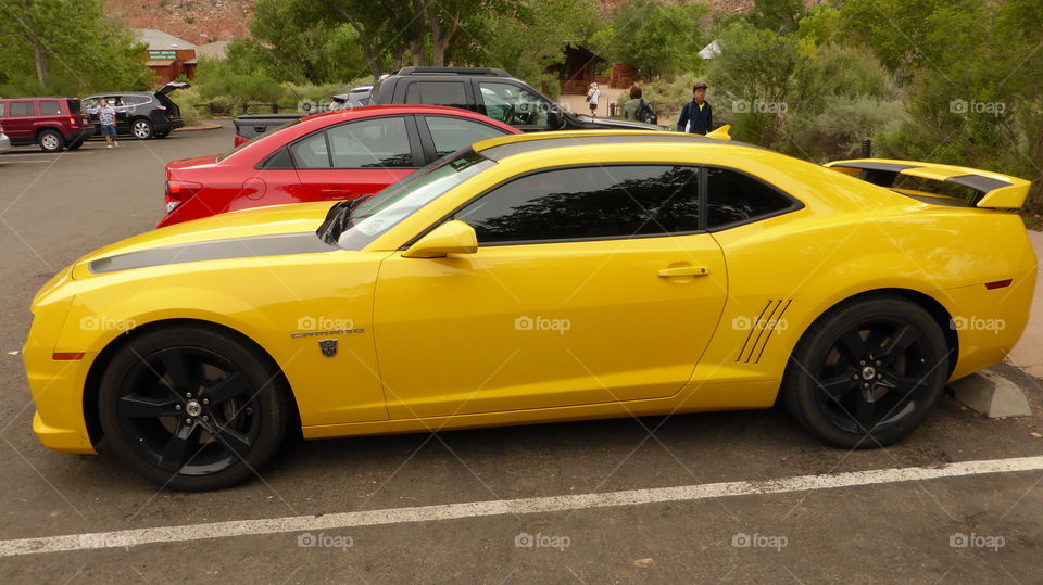 Beautiful car in the parking