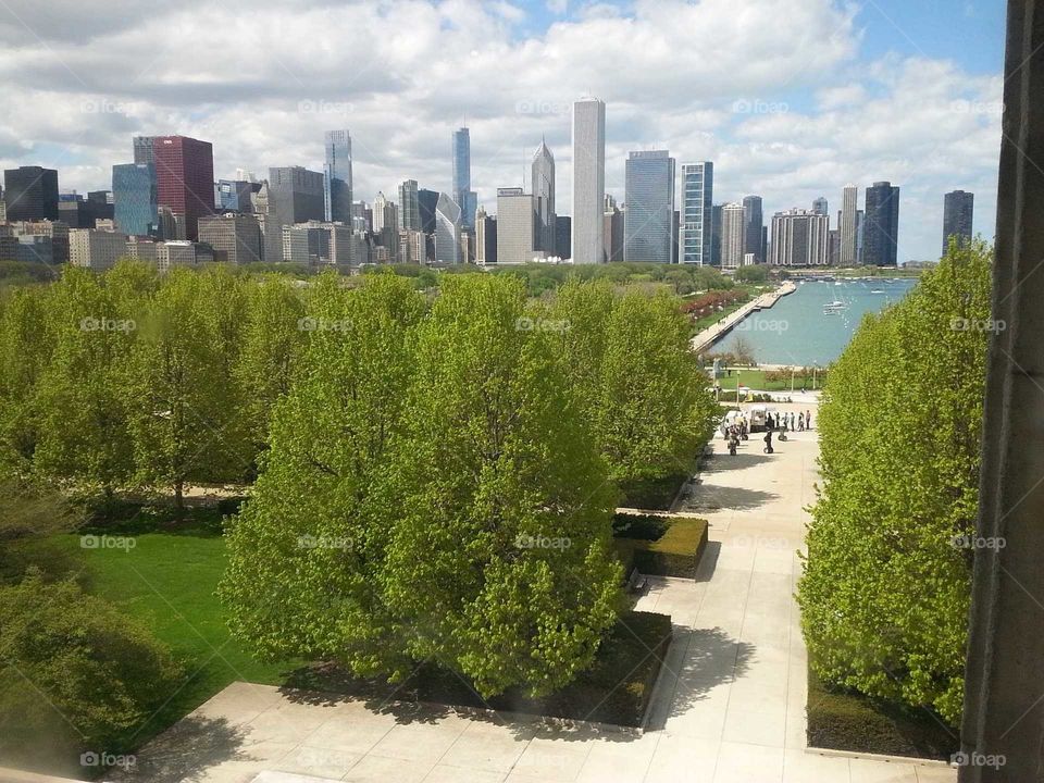 No Person, Architecture, Outdoors, Tree, City