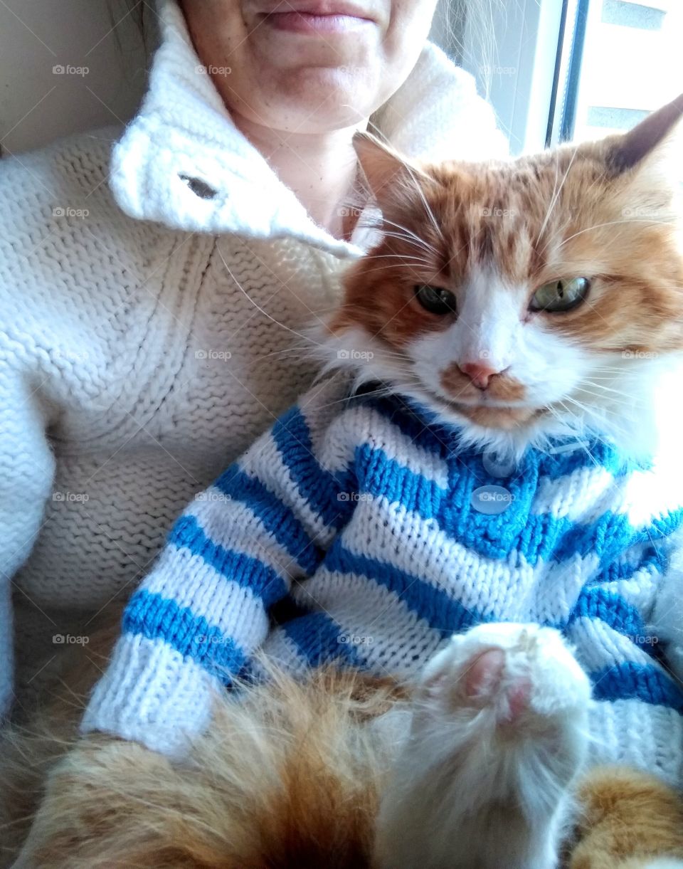 selfie girl with cat pet in the sweater