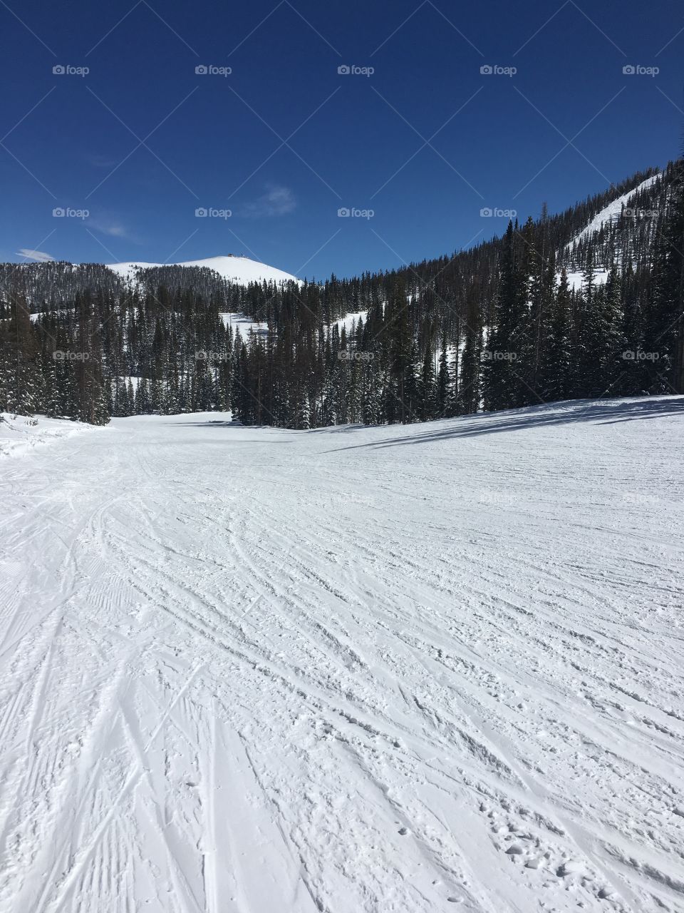 skiing 