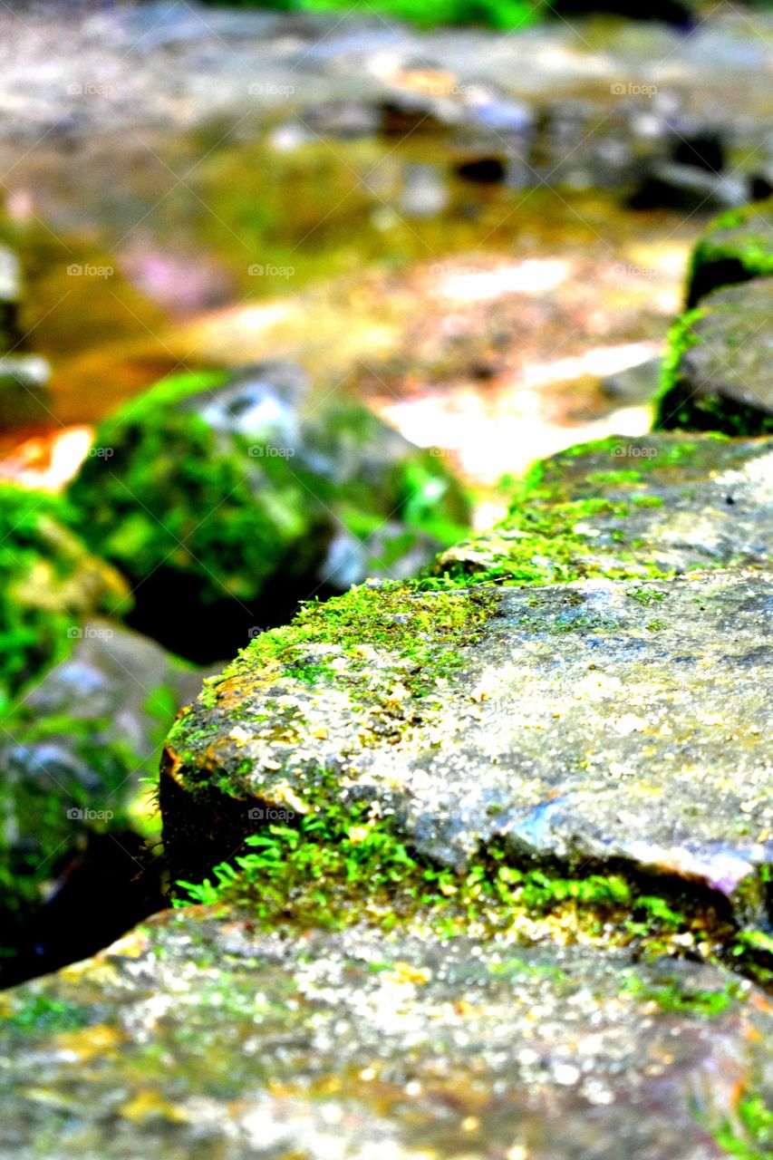 Hocking Hills Ohio State Park USA rocks steps stones Moss Masonry