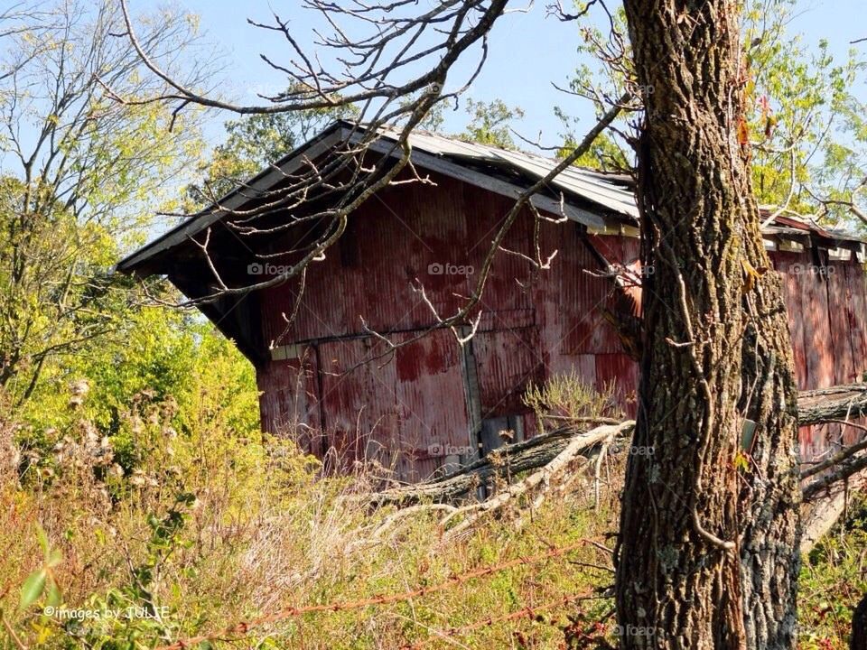 Old red shed