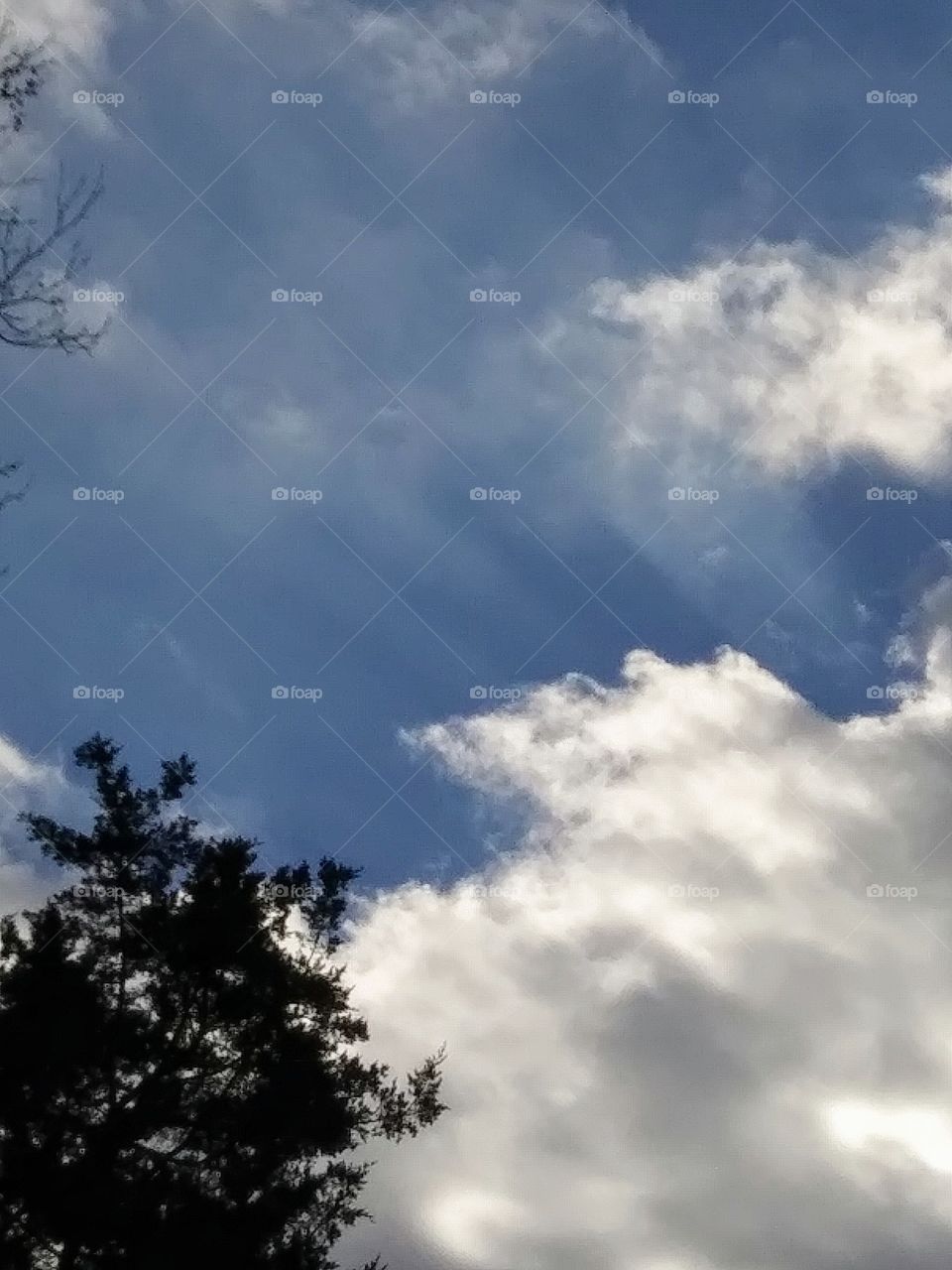 sunbeams from a cloud