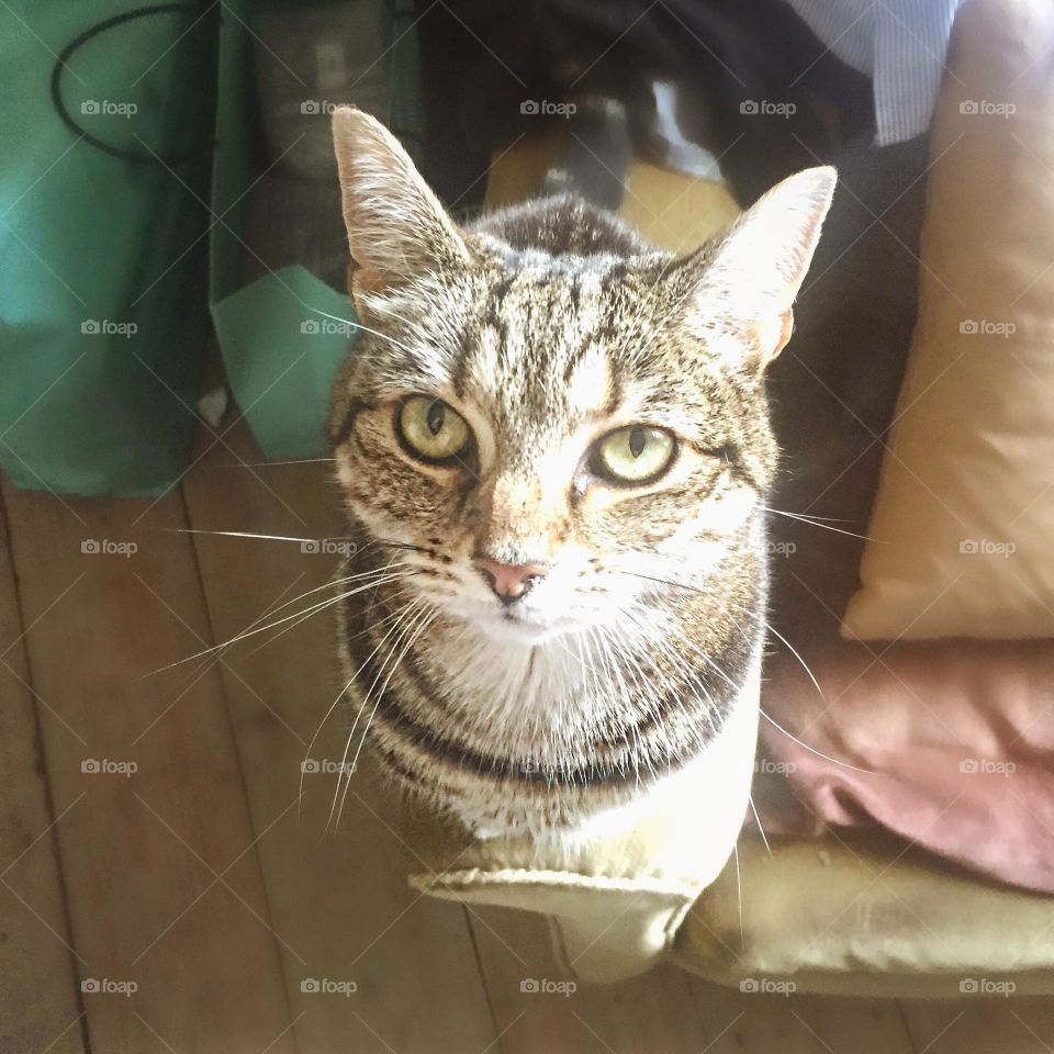 Yes I’m beautiful but where have you been? 