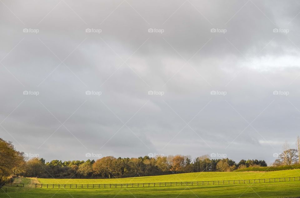 Landscape. Farm