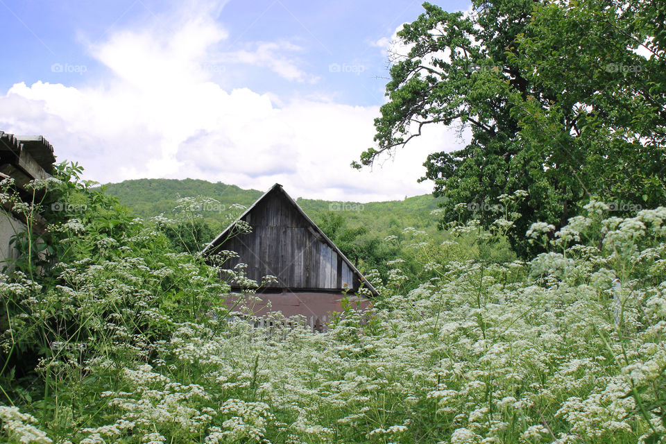 Hause on nature