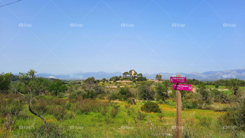 Panoramic view of Majorcan countryside, Marratxi. On the front, two fuchsia signposts. At the background a tower and the mountains