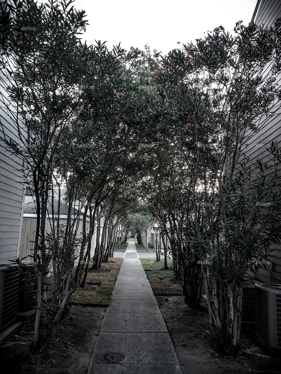 strolling down memory lane