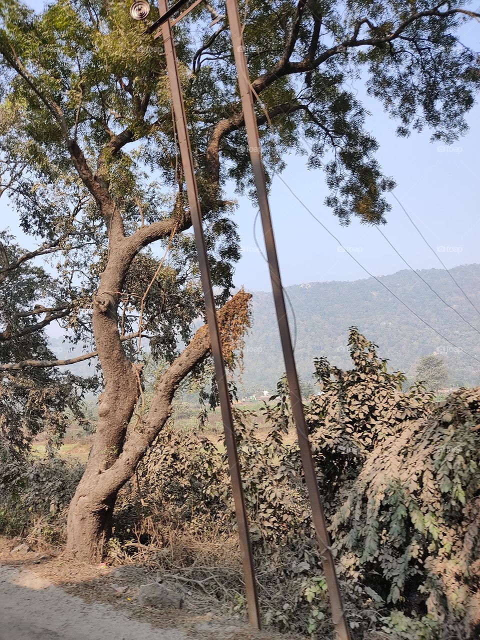 broken power cord and pole