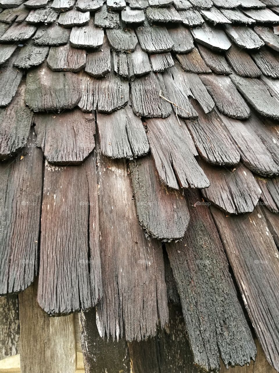wooden roof