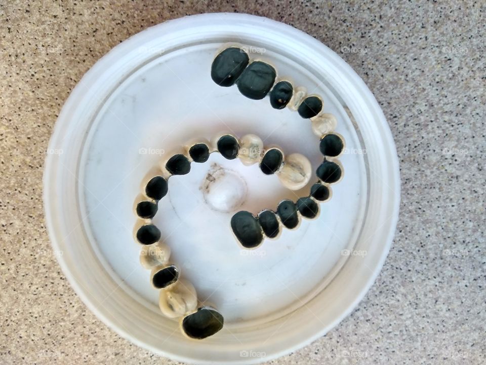 Ceramic dental bridge in bowl