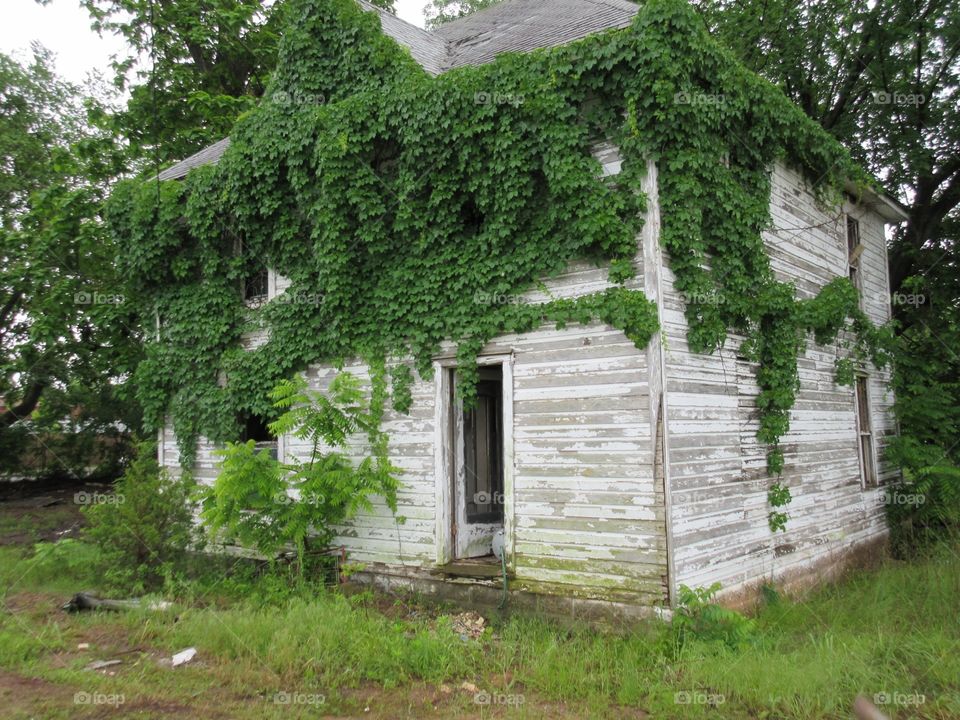 Forgotten . Old house