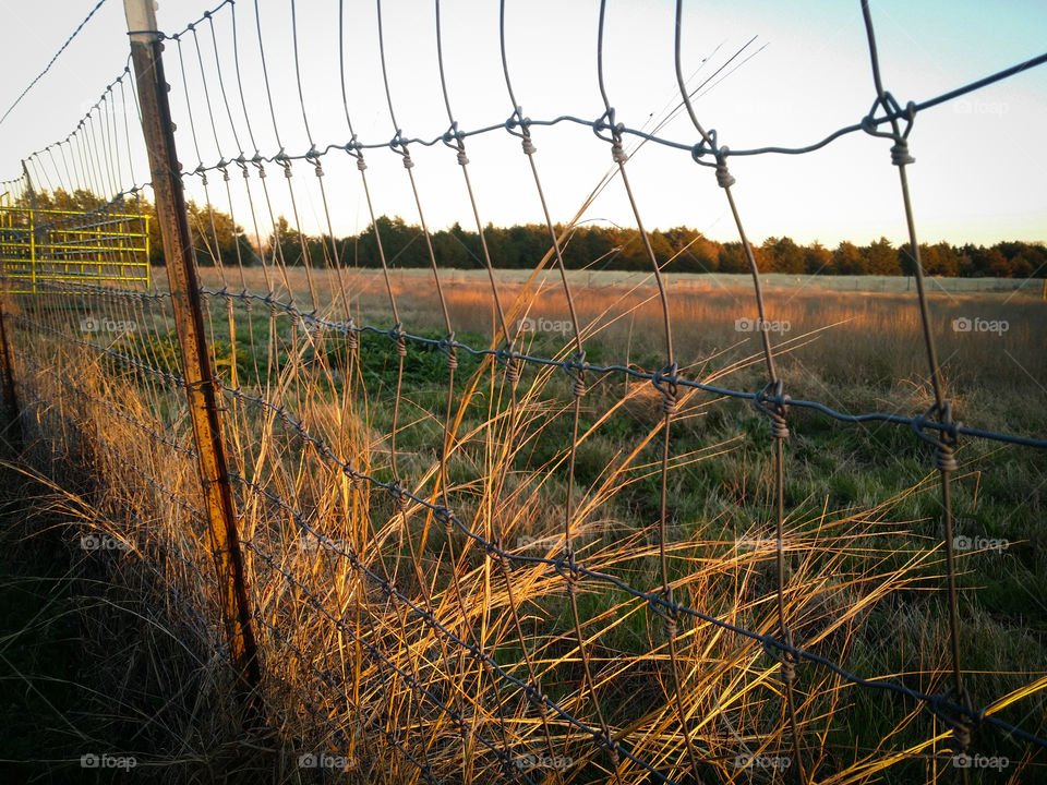 Leaning Fence