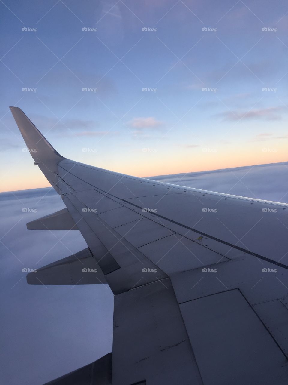 Plane view