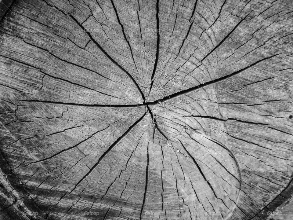 log, b/w