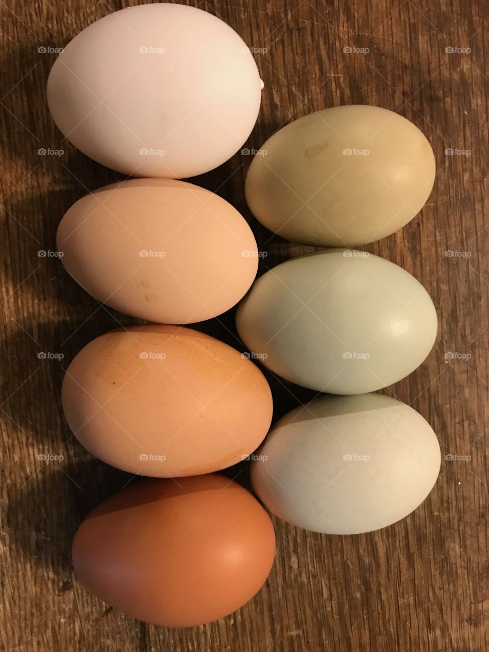Eggs glorious eggs 