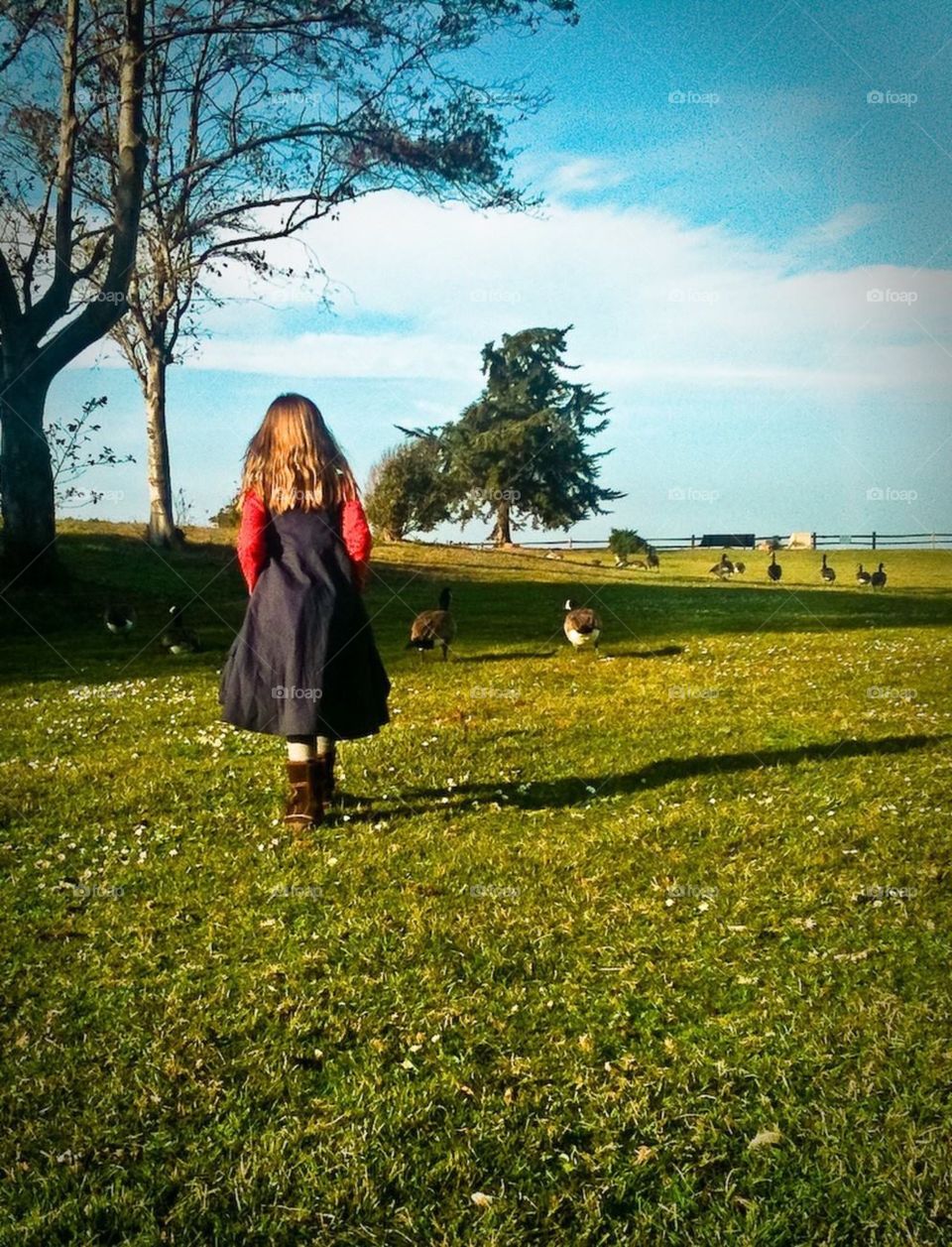 Girl and geese in the meadow 
