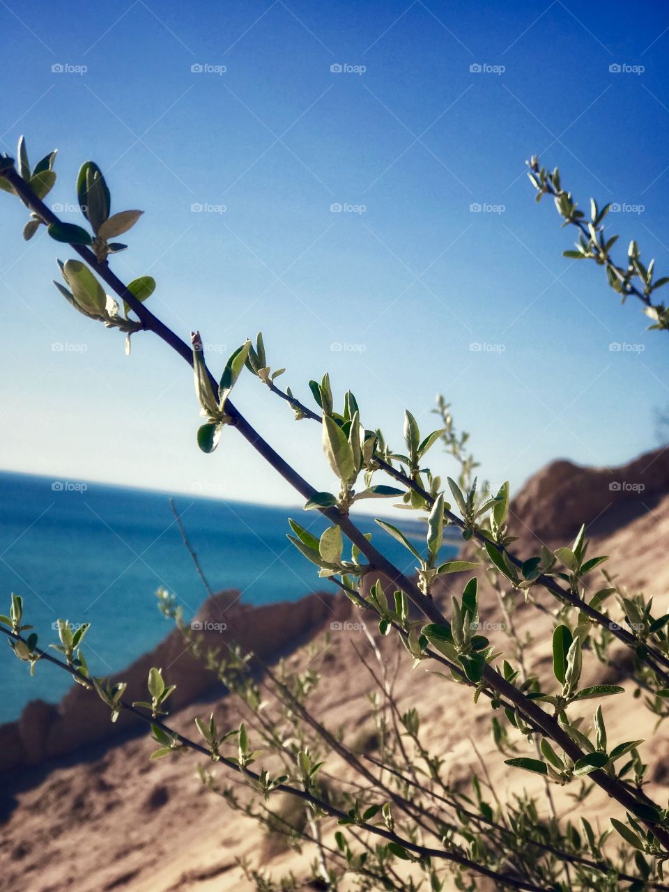 Color in a world where color isn’t always there. 