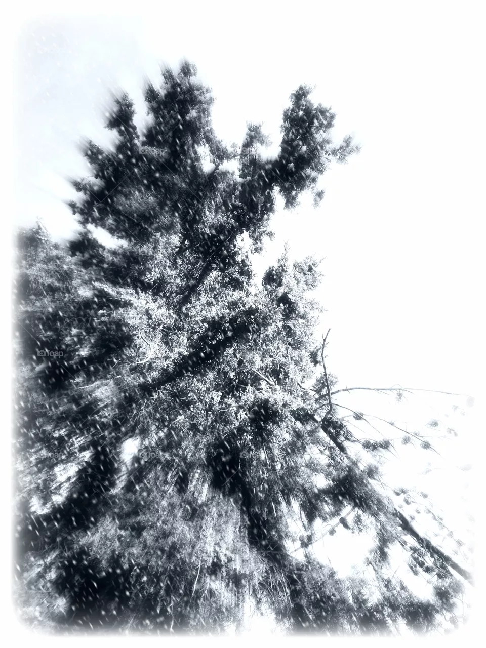 snow