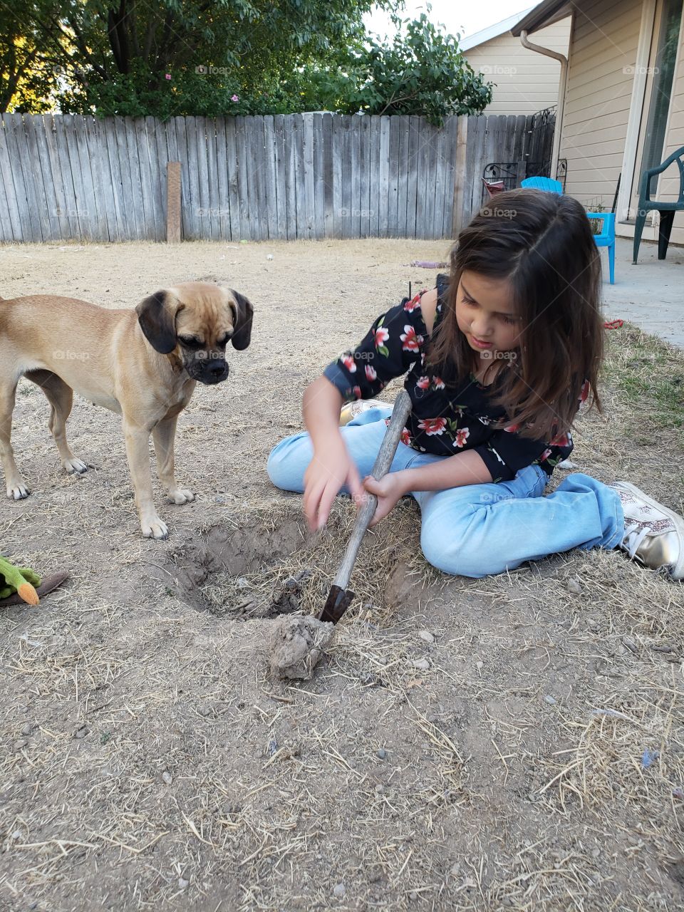 outdoor activities with your dog